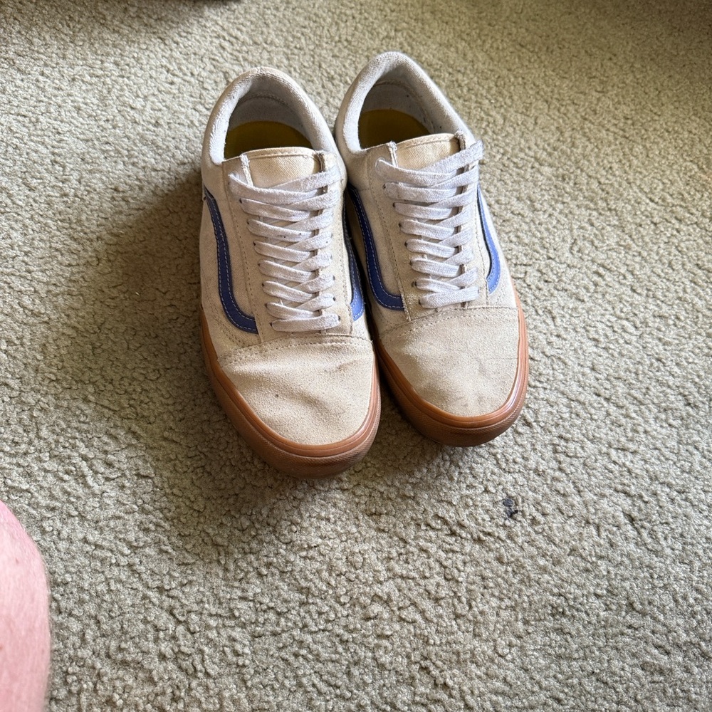 Vans Pro Low-Top Canvas Sneakers in Beige with Blue Stripe